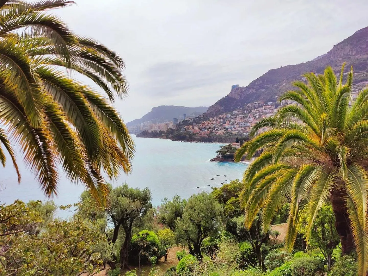 Le Coq Massolin Roquebrune-Cap-Martin 0*,